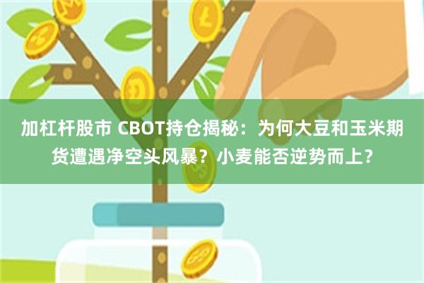 加杠杆股市 CBOT持仓揭秘：为何大豆和玉米期货遭遇净空头风暴？小麦能否逆势而上？