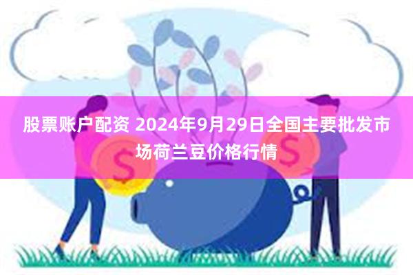 股票账户配资 2024年9月29日全国主要批发市场荷兰豆价格行情