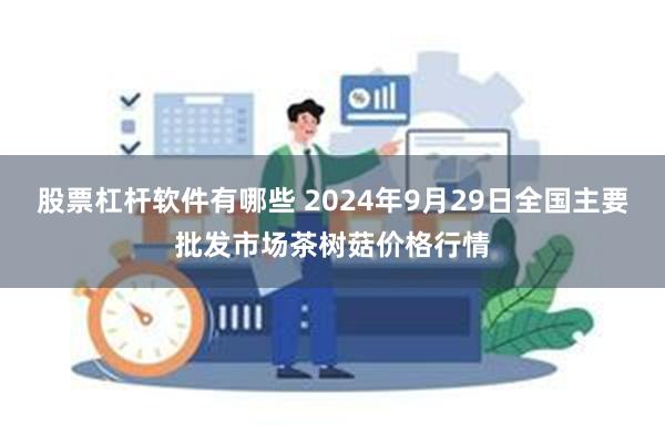 股票杠杆软件有哪些 2024年9月29日全国主要批发市场茶树菇价格行情