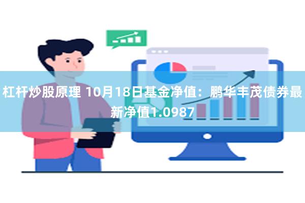 杠杆炒股原理 10月18日基金净值：鹏华丰茂债券最新净值1.0987