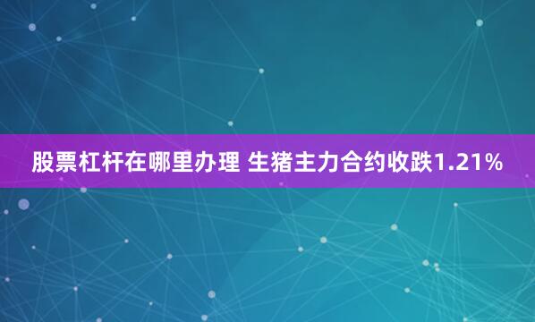 股票杠杆在哪里办理 生猪主力合约收跌1.21%