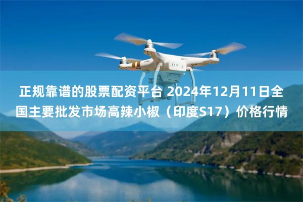 正规靠谱的股票配资平台 2024年12月11日全国主要批发市场高辣小椒（印度S17）价格行情