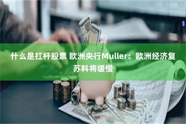 什么是扛杆股票 欧洲央行Muller：欧洲经济复苏料将缓慢