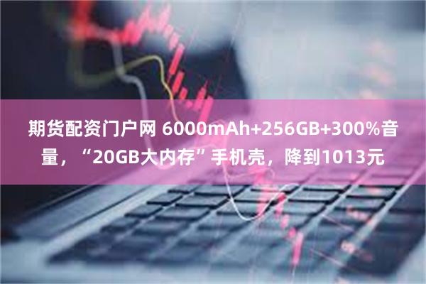 期货配资门户网 6000mAh+256GB+300%音量，“20GB大内存”手机壳，降到1013元