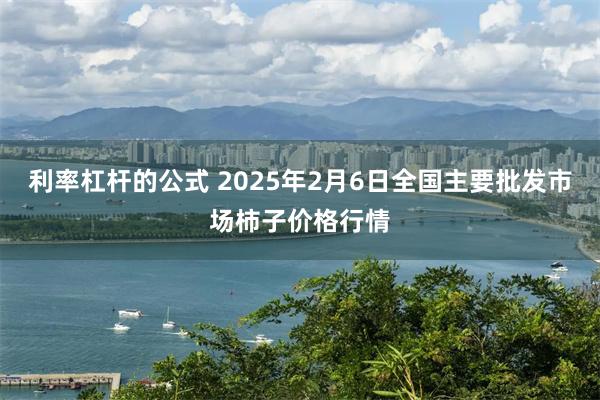 利率杠杆的公式 2025年2月6日全国主要批发市场柿子价格行情