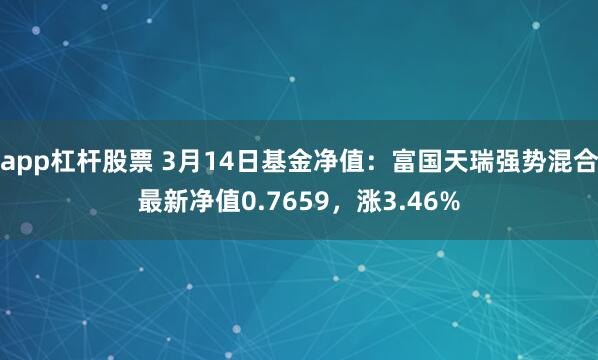 app杠杆股票 3月14日基金净值：富国天瑞强势混合最新净值0.7659，涨3.46%